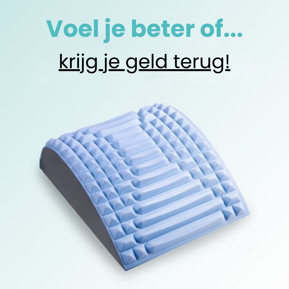 Backcloud - Rug en Nek Stretcher